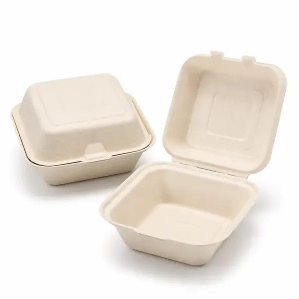Biodegradable Sugarcane Bagasse Food Containers (Eco-Friendly Disposable Food Packaging)